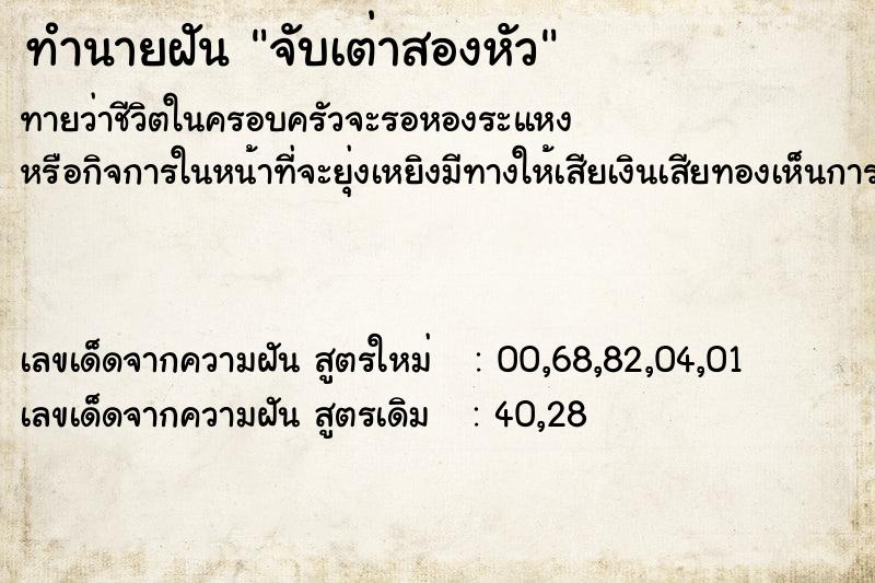 ทำนายฝันจับเต่าสองหัว ทำนายฝันทำนายฝันจับเต่าสองหัว
