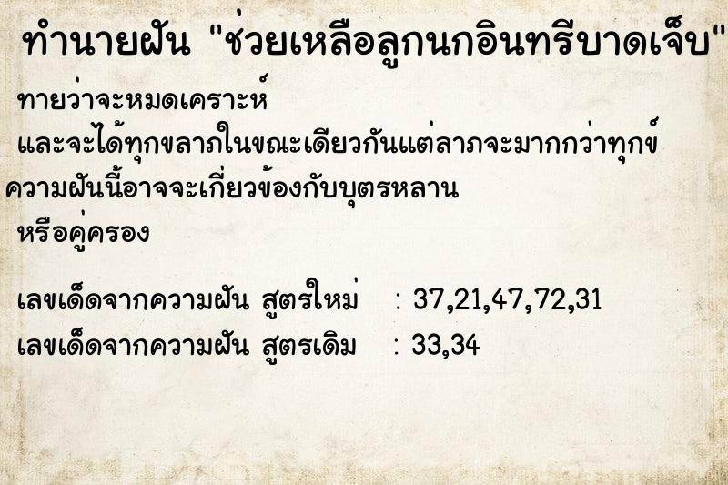 ทำนายฝันช่วยเหลือลูกนกอินทรีบาดเจ็บ ทำนายฝันทำนายฝันช่วยเหลือลูกนกอินทรีบาดเจ็บ