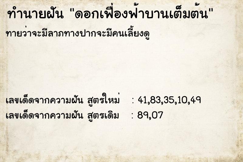 ทำนายฝัน ดอกเฟื่องฟ้าบานเต็มต้น ทำนายฝัน ดอกเฟื่องฟ้าบานเต็มต้น
