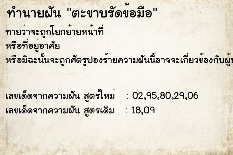 ทำนายฝันตะขาบรัดข้อมือ ทำนายฝันทำนายฝันตะขาบรัดข้อมือ