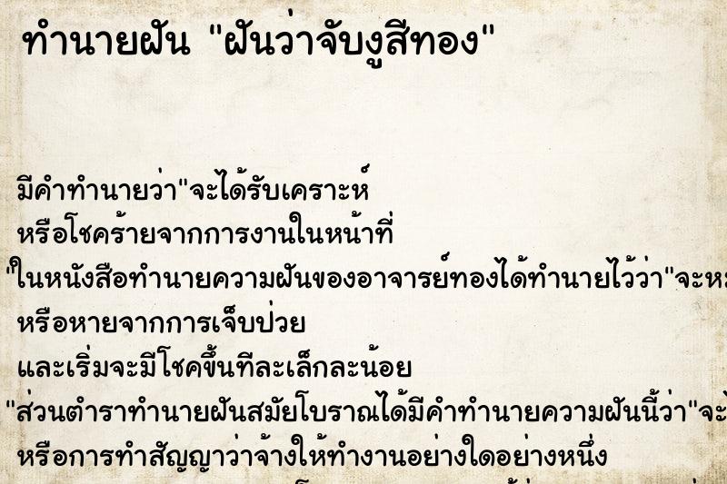 ทำนายฝัน ฝันว่าจับงูสีทอง ทำนายฝัน ฝันว่าจับงูสีทอง