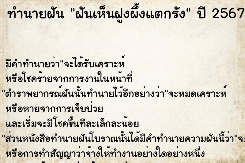 ทำนายฝันทำนายฝันฝันเห็นฝูงผึ้งแตกรัง