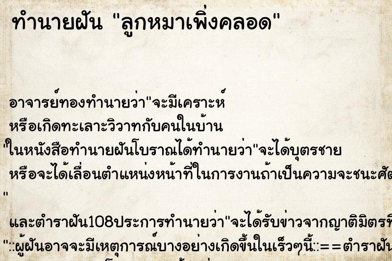 ทำนายฝัน ลูกหมาเพิ่งคลอด ทำนายฝัน ลูกหมาเพิ่งคลอด