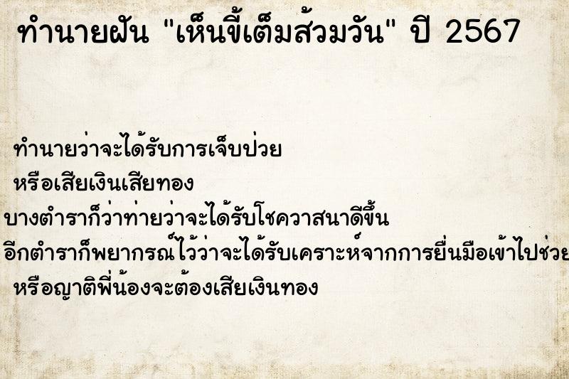 ทำนายฝัน เห็นขี้เต็มส้วมวัน ทำนายฝัน เห็นขี้เต็มส้วมวัน