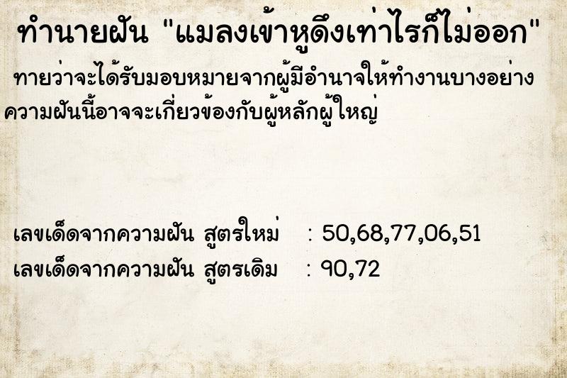 ทำนายฝันแมลงเข้าหูดึงเท่าไรก็ไม่ออก ทำนายฝันทำนายฝันแมลงเข้าหูดึงเท่าไรก็ไม่ออก