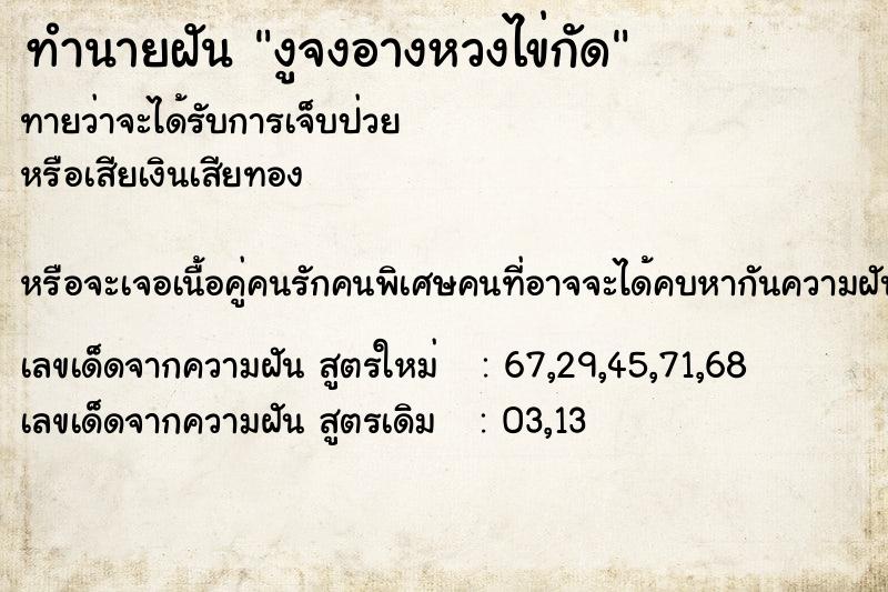 ทำนายฝันงูจงอางหวงไข่กัด ทำนายฝันทำนายฝันงูจงอางหวงไข่กัด