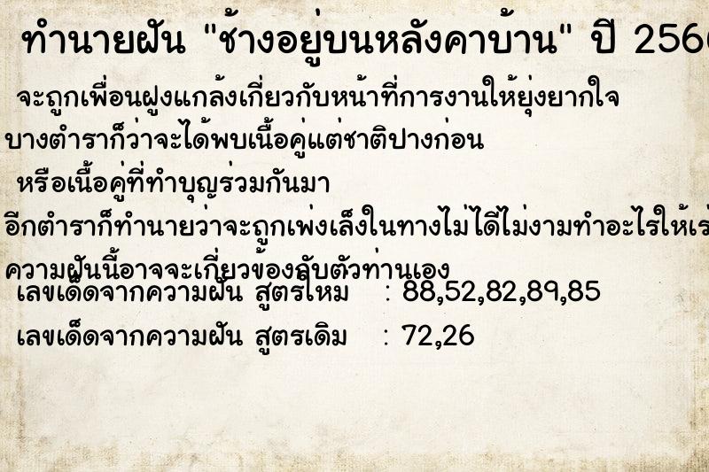 ทำนายฝัน ช้างอยู่บนหลังคาบ้าน ทำนายฝัน ช้างอยู่บนหลังคาบ้าน