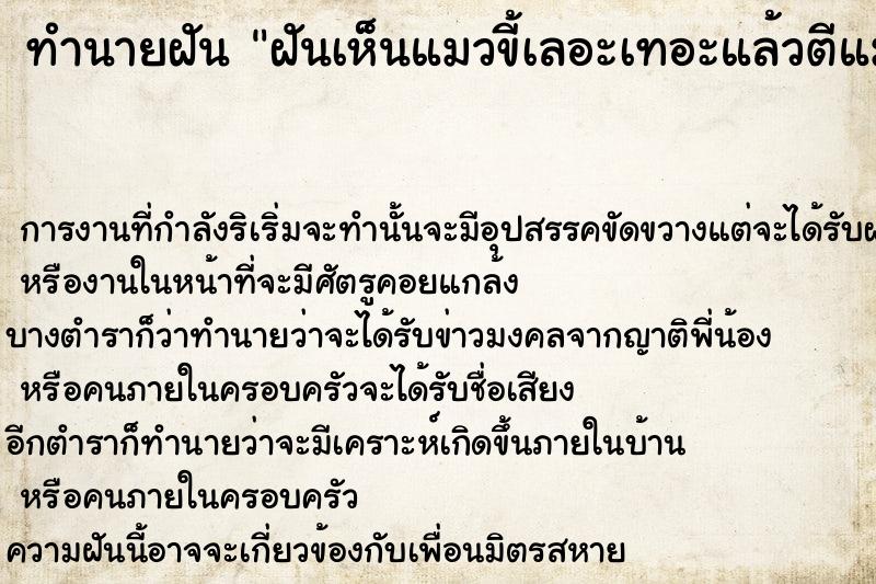 ทำนายฝันทำนายฝันฝันเห็นแมวขี้เลอะเทอะแล้วตีแมว