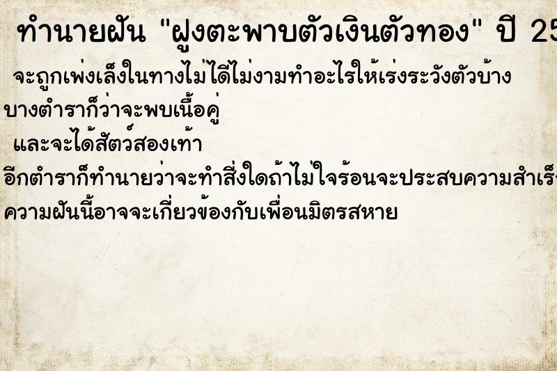 ทำนายฝันทำนายฝันฝูงตะพาบตัวเงินตัวทอง