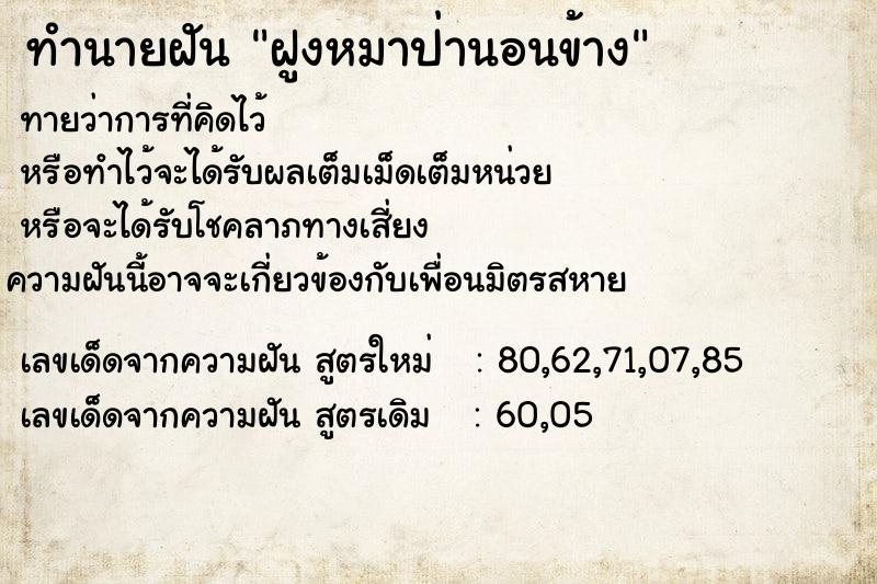 ทำนายฝันฝูงหมาป่านอนข้าง ทำนายฝันทำนายฝันฝูงหมาป่านอนข้าง