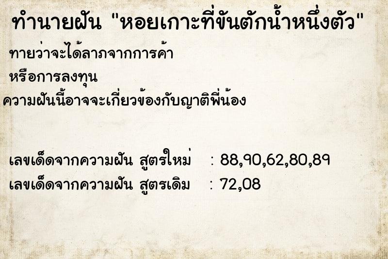 ทำนายฝันทำนายฝันหอยเกาะที่ขันตักน้ำหนึ่งตัว