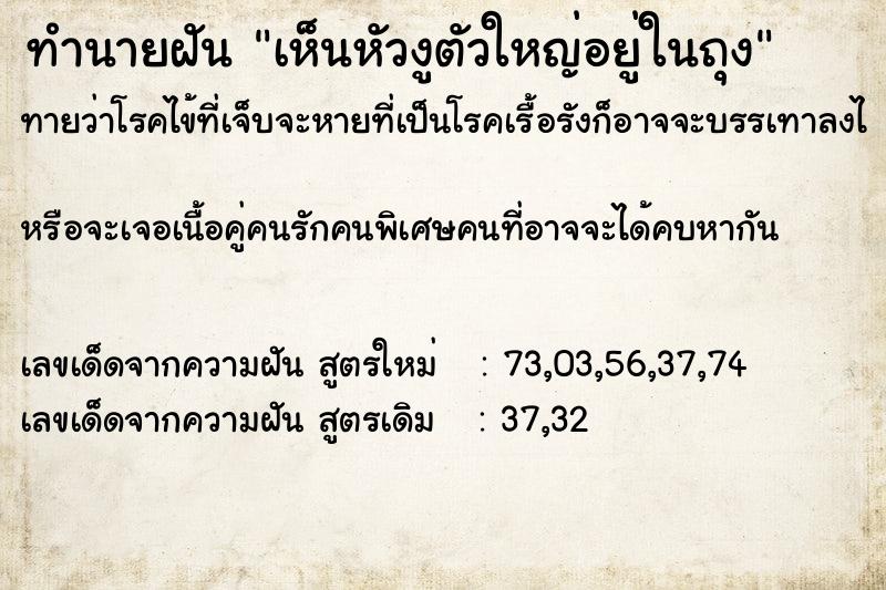 ทำนายฝันทำนายฝันเห็นหัวงูตัวใหญ่อยู่ในถุง