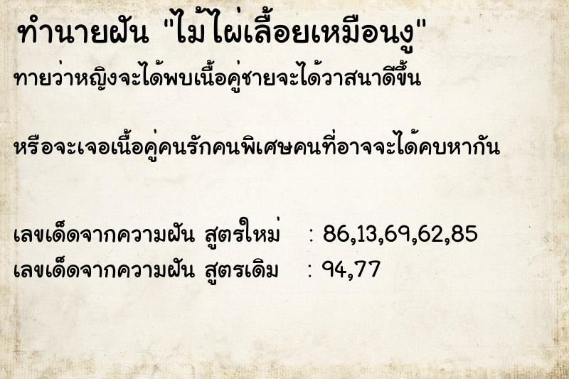 ทำนายฝันไม้ไผ่เลื้อยเหมือนงู ทำนายฝันทำนายฝันไม้ไผ่เลื้อยเหมือนงู