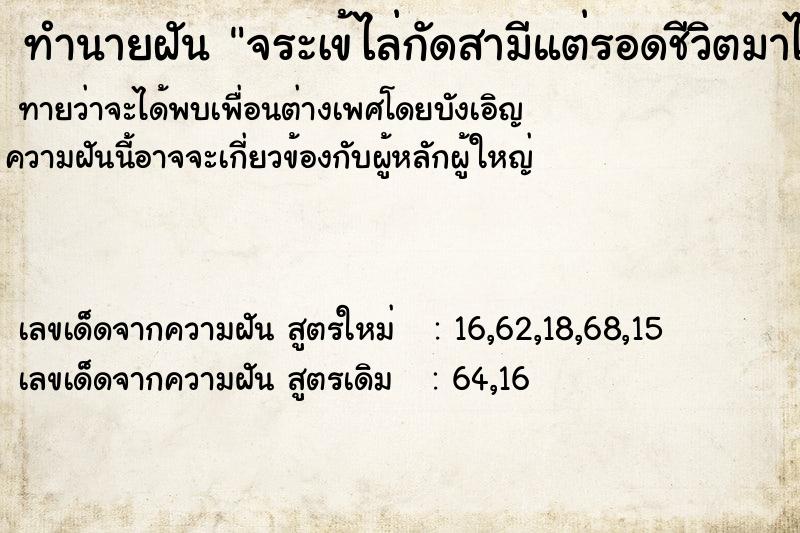 ทำนายฝัน จระเข้ไล่กัดสามีแต่รอดชีวิตมาได้ ทำนายฝัน จระเข้ไล่กัดสามีแต่รอดชีวิตมาได้