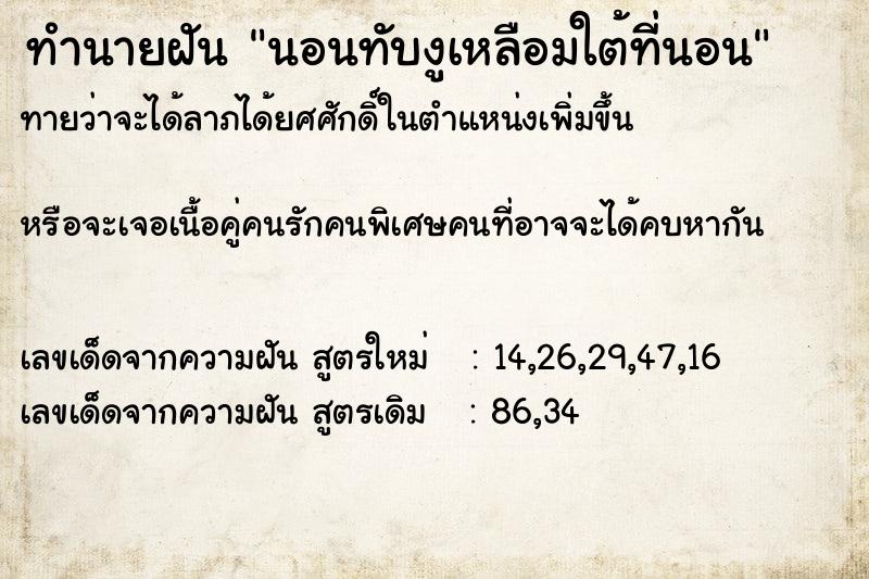 ทำนายฝันนอนทับงูเหลือมใต้ที่นอน ทำนายฝันทำนายฝันนอนทับงูเหลือมใต้ที่นอน
