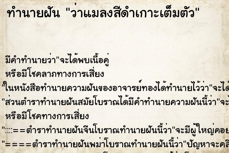 ทำนายฝัน ว่าแมลงสีดำเกาะเต็มตัว ทำนายฝัน ว่าแมลงสีดำเกาะเต็มตัว