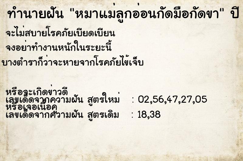 ทำนายฝัน หมาแม่ลูกอ่อนกัดมือกัดขา ทำนายฝัน หมาแม่ลูกอ่อนกัดมือกัดขา