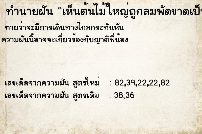 ทำนายฝันเห็นต้นไม้ใหญ่ถูกลมพัดขาดเป็นท่อน ทำนายฝันทำนายฝันเห็นต้นไม้ใหญ่ถูกลมพัดขาดเป็นท่อน