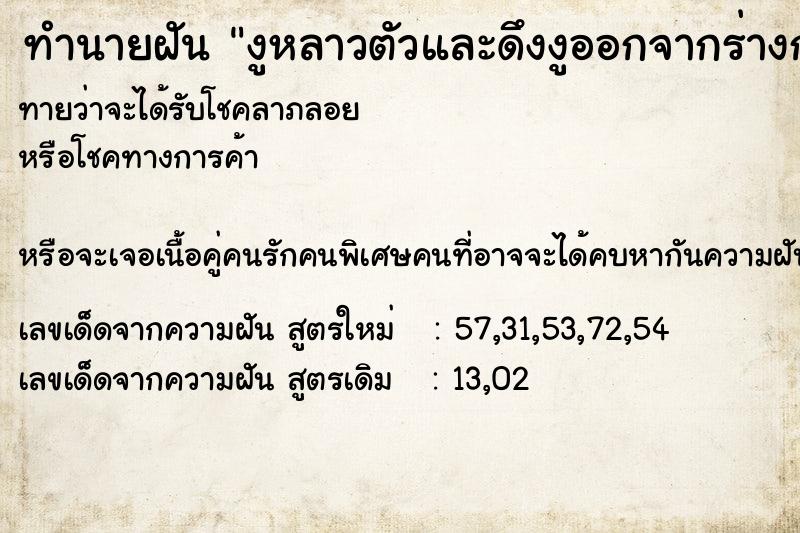 ทำนายฝันงูหลาวตัวและดึงงูออกจากร่างกาย ทำนายฝันทำนายฝันงูหลาวตัวและดึงงูออกจากร่างกาย