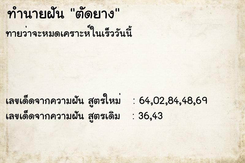 ทำนายฝันตัดยาง ทำนายฝันทำนายฝันตัดยาง