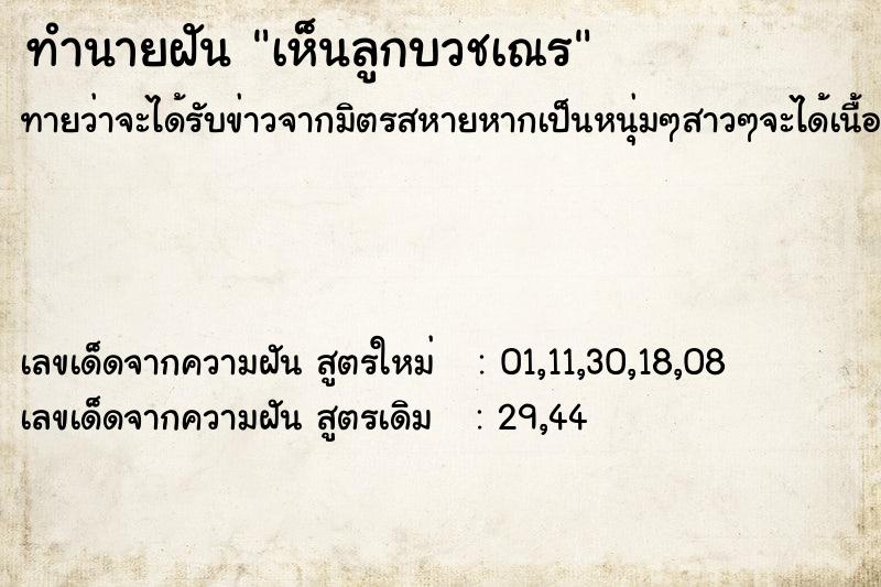 ทำนายฝันเห็นลูกบวชเณร ทำนายฝันทำนายฝันเห็นลูกบวชเณร
