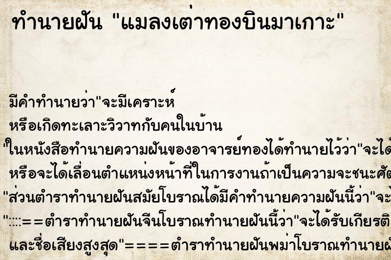 ทำนายฝัน แมลงเต่าทองบินมาเกาะ ตำราโบราณ แม่นที่สุดในโลก