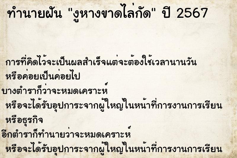 ทำนายฝัน งูหางขาดไล่กัด ทำนายฝัน งูหางขาดไล่กัด