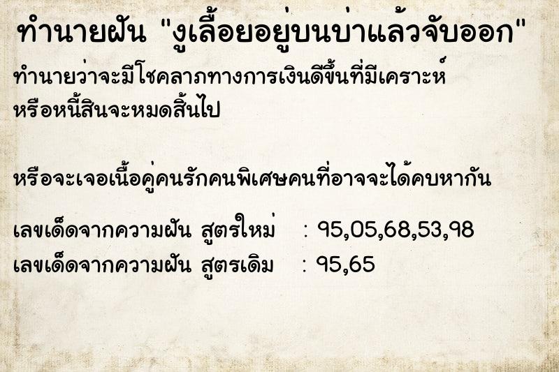 ทำนายฝันงูเลื้อยอยู่บนบ่าแล้วจับออก ทำนายฝันทำนายฝันงูเลื้อยอยู่บนบ่าแล้วจับออก