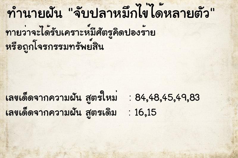 ทำนายฝันจับปลาหมึกไข่ได้หลายตัว ทำนายฝันทำนายฝันจับปลาหมึกไข่ได้หลายตัว