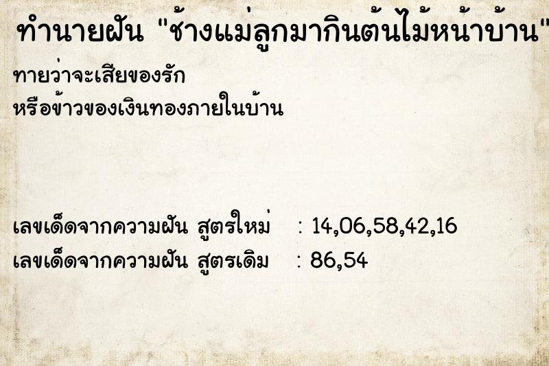 ทำนายฝันช้างแม่ลูกมากินต้นไม้หน้าบ้าน ทำนายฝันทำนายฝันช้างแม่ลูกมากินต้นไม้หน้าบ้าน