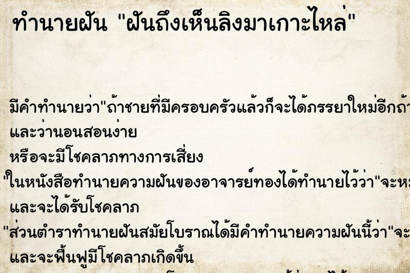 ทำนายฝันฝันถึงเห็นลิงมาเกาะไหล่ ทำนายฝันทำนายฝันฝันถึงเห็นลิงมาเกาะไหล่