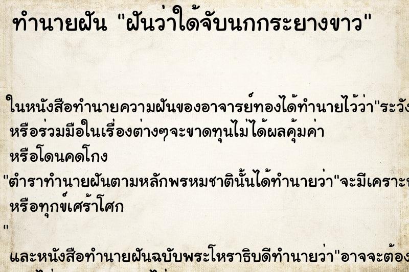 ทำนายฝันฝันว่าใด้จับนกกระยางขาว ทำนายฝันทำนายฝันฝันว่าใด้จับนกกระยางขาว