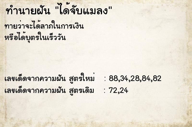 ทำนายฝันทำนายฝันได้จับแมลง