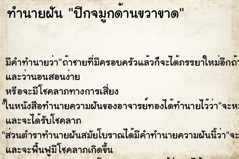 ทำนายฝันปีกจมูกด้านขวาขาด ทำนายฝันทำนายฝันปีกจมูกด้านขวาขาด