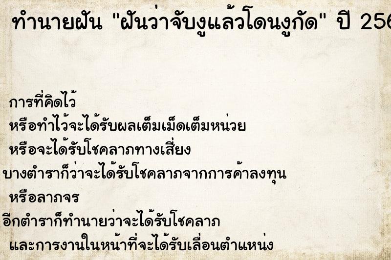 ทำนายฝันฝันว่าจับงูแล้วโดนงูกัด ทำนายฝันทำนายฝันฝันว่าจับงูแล้วโดนงูกัด