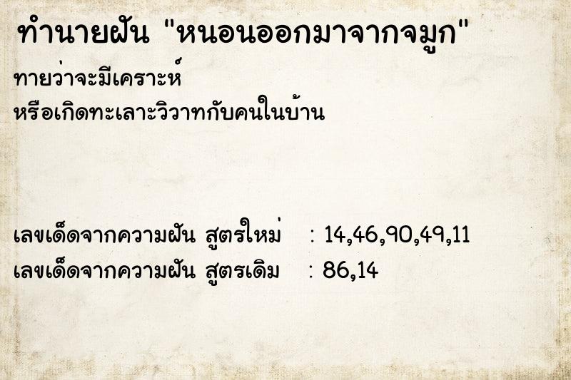 ทำนายฝัน หนอนออกมาจากจมูก ทำนายฝัน หนอนออกมาจากจมูก
