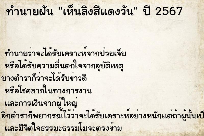 ทำนายฝัน เห็นลิงสีแดงวัน ทำนายฝัน เห็นลิงสีแดงวัน