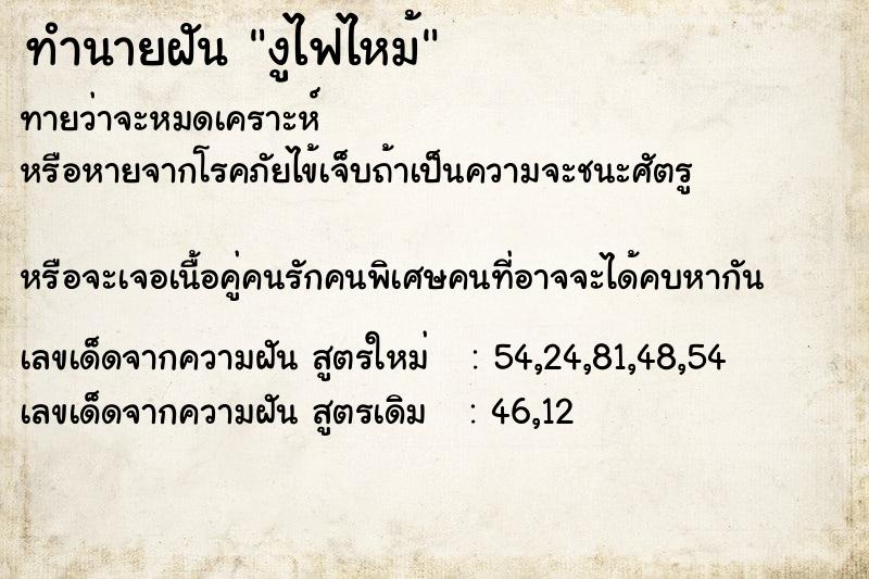 ทำนายฝันงูไฟไหม้ ทำนายฝันทำนายฝันงูไฟไหม้