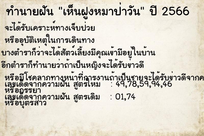 ทำนายฝันเห็นฝูงหมาป่าวัน ทำนายฝันทำนายฝันเห็นฝูงหมาป่าวัน