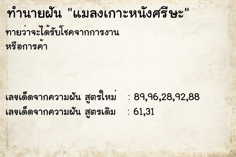 ทำนายฝันแมลงเกาะหนังศรีษะ ทำนายฝันทำนายฝันแมลงเกาะหนังศรีษะ