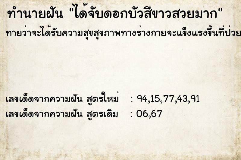 ทำนายฝันทำนายฝันได้จับดอกบัวสีขาวสวยมาก