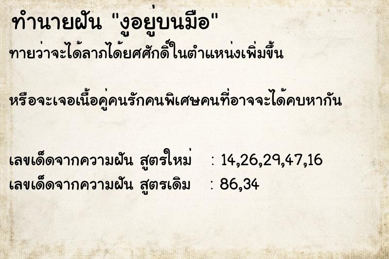 ทำนายฝันงูอยู่บนมือ ทำนายฝันทำนายฝันงูอยู่บนมือ