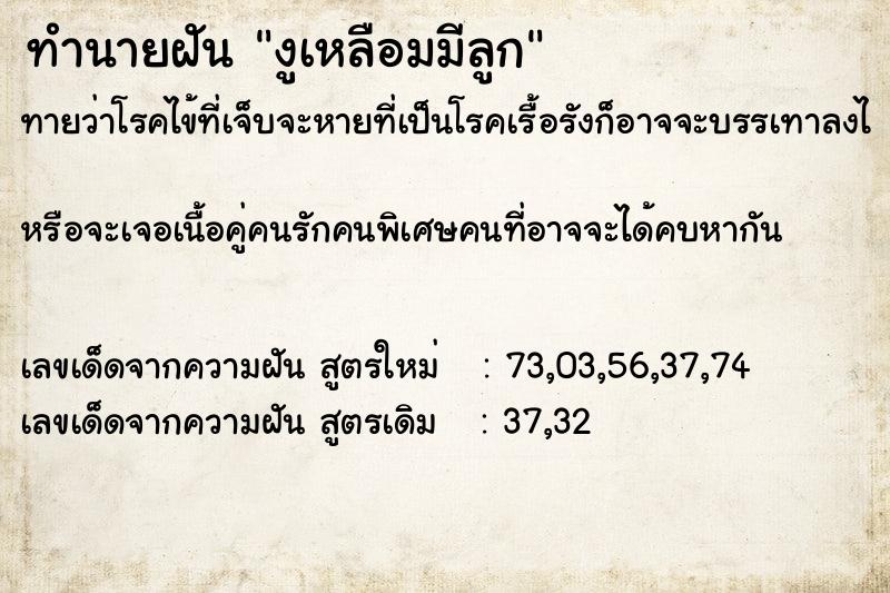 ทำนายฝันงูเหลือมมีลูก ทำนายฝันทำนายฝันงูเหลือมมีลูก