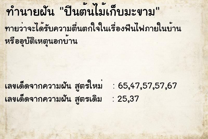 ทำนายฝันทำนายฝันปีนต้นไม้เก็บมะขาม