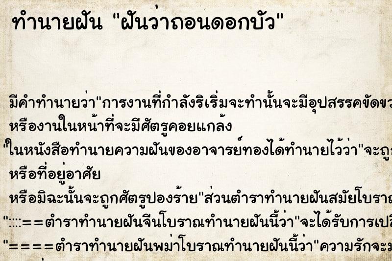 ทำนายฝัน ฝันว่าถอนดอกบัว ทำนายฝัน ฝันว่าถอนดอกบัว