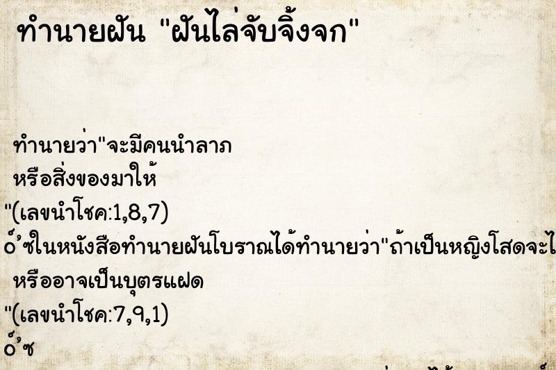 ทำนายฝัน ฝันไล่จับจิ้งจก ทำนายฝัน ฝันไล่จับจิ้งจก