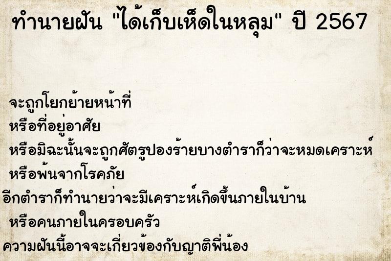 ทำนายฝันได้เก็บเห็ดในหลุม ทำนายฝันทำนายฝันได้เก็บเห็ดในหลุม