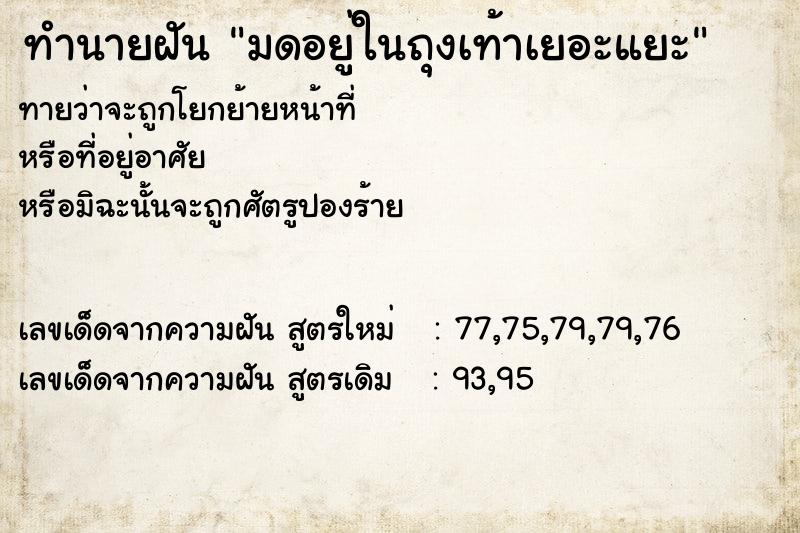 ทำนายฝันมดอยู่ในถุงเท้าเยอะแยะ ทำนายฝันทำนายฝันมดอยู่ในถุงเท้าเยอะแยะ