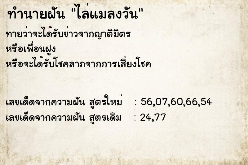ทำนายฝันไล่แมลงวัน ทำนายฝันทำนายฝันไล่แมลงวัน