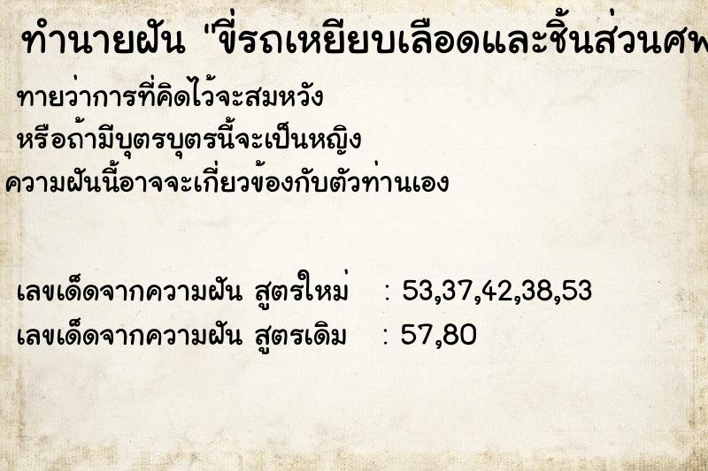 ทำนายฝันขี่รถเหยียบเลือดและชิ้นส่วนศพเต็มถนน ทำนายฝันทำนายฝันขี่รถเหยียบเลือดและชิ้นส่วนศพเต็มถนน